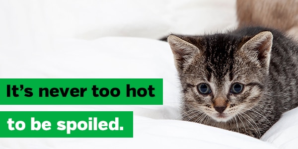 It's never too hot to be spoiled.