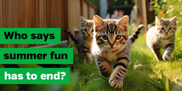 Who says summer fun has to end?
