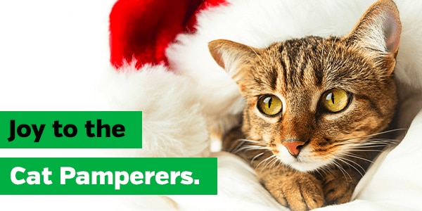 Joy to the cat pamperers