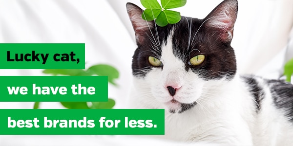Lucky cat, we have the best brands for less