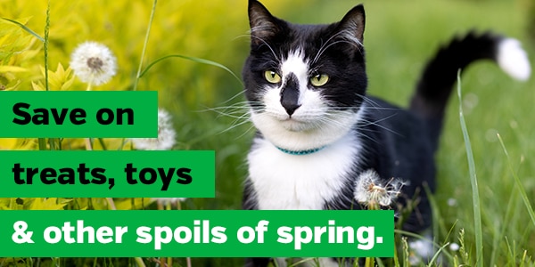Save on treats, toys & other spoils of spring.