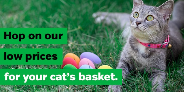 Hop on our low prices for your cat's basket