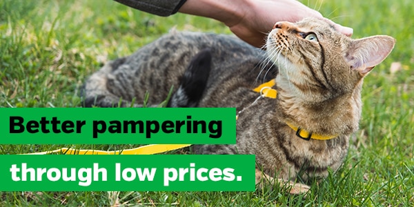 Better pampering through low prices.
