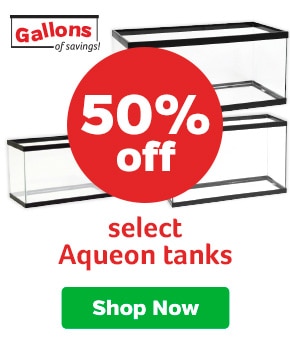 50% off select Aqueon tanks
