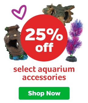 25% off select aquaruim accessories