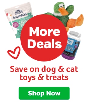 More Deals