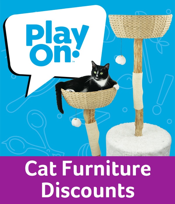 Celebrate cat month with purry good deals