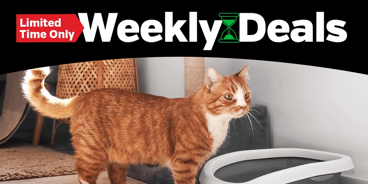 Limited Time Only Weekly Deals