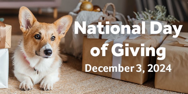 National Day of Giving
