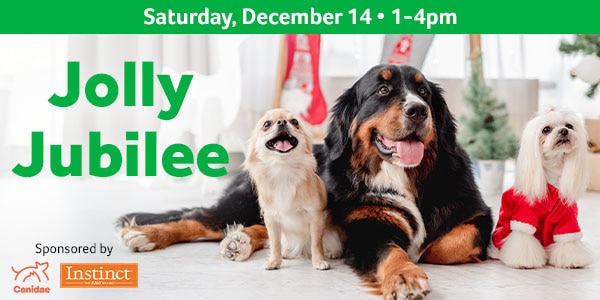 Howl-o-ween Costume Party