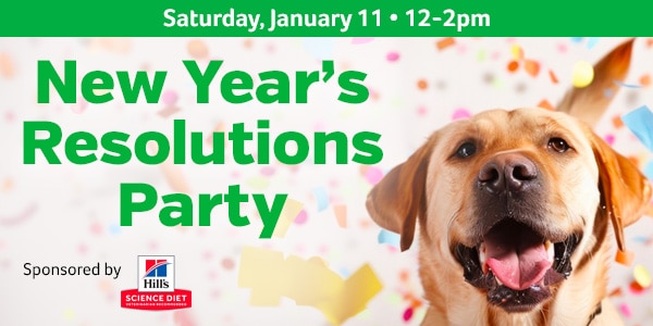 New Year's Resolutions Party. Saturday, January 11. 12pm – 2pm