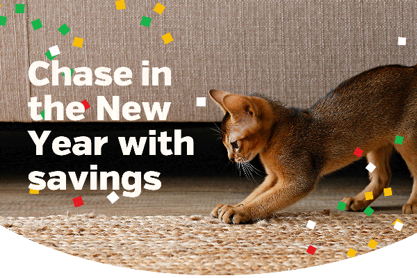 Chase in the New Year with savings