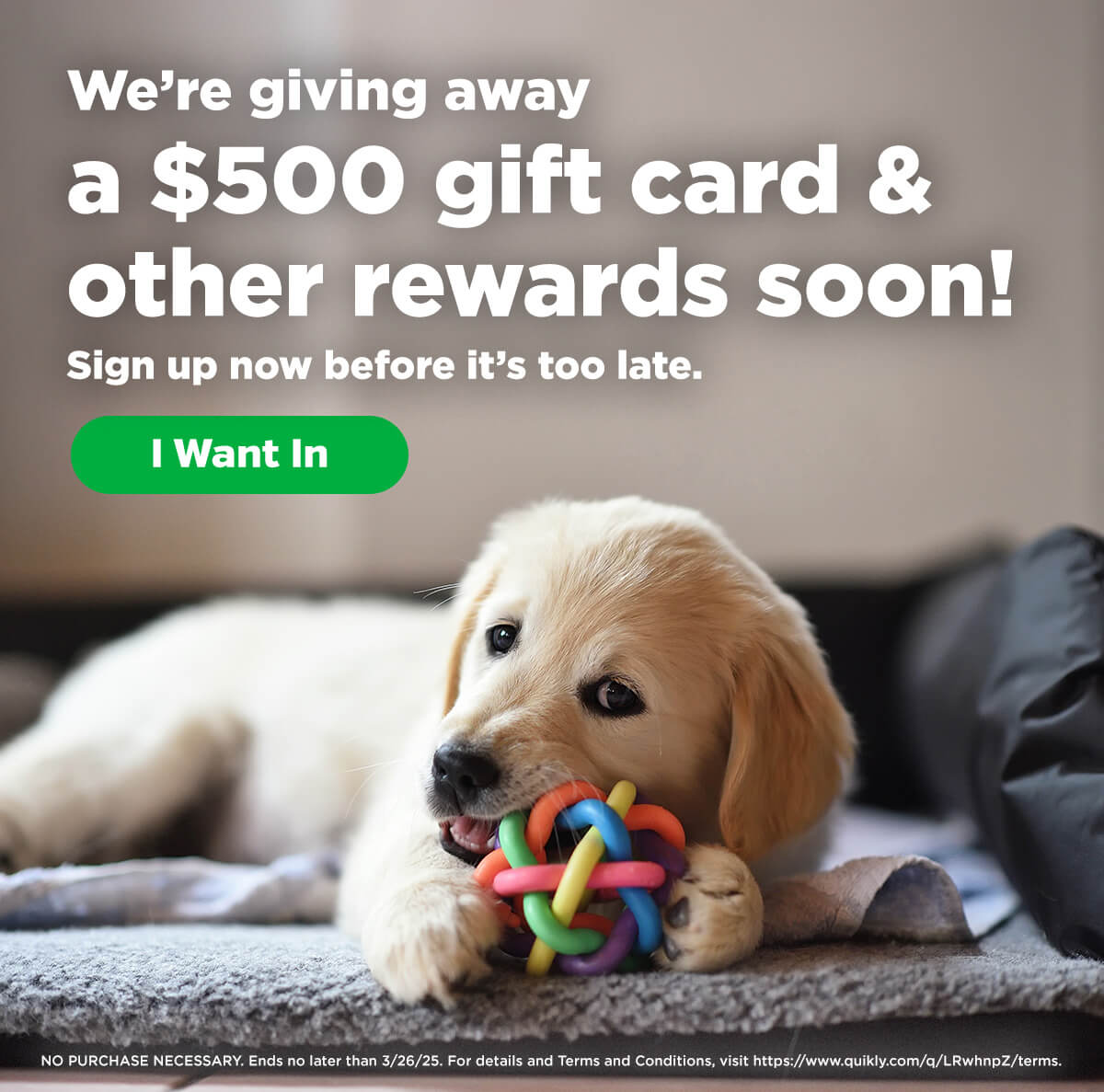 We're giving away a $500 gift card & other rewards soon!