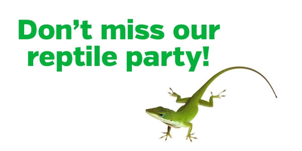 Scales and Tails Event