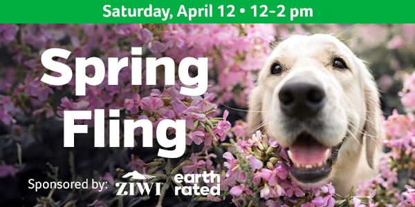Spring Fling