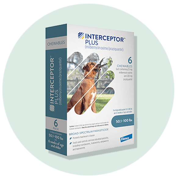 Interceptor Plus for dogs