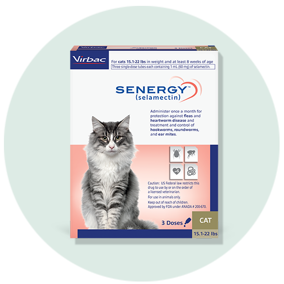 SENERGY topical for cats