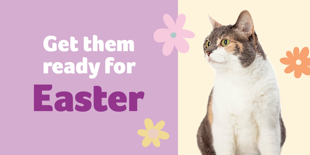 Spring Into Savings – Buy 1, get 1 50% off & Up to 50% Off!