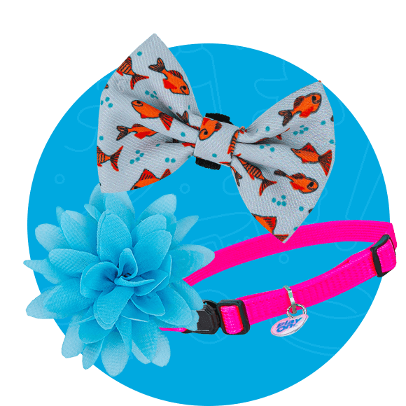 Collars, leashes, & harnesses