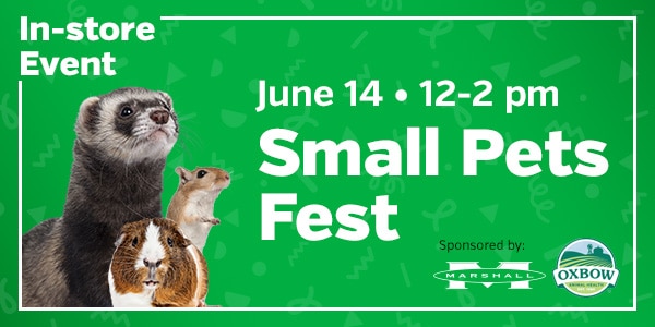 Small Pets Fest  Sponsored by Oxbow & Marshall Pet Products. Saturday, June 14 12pm – 2pm