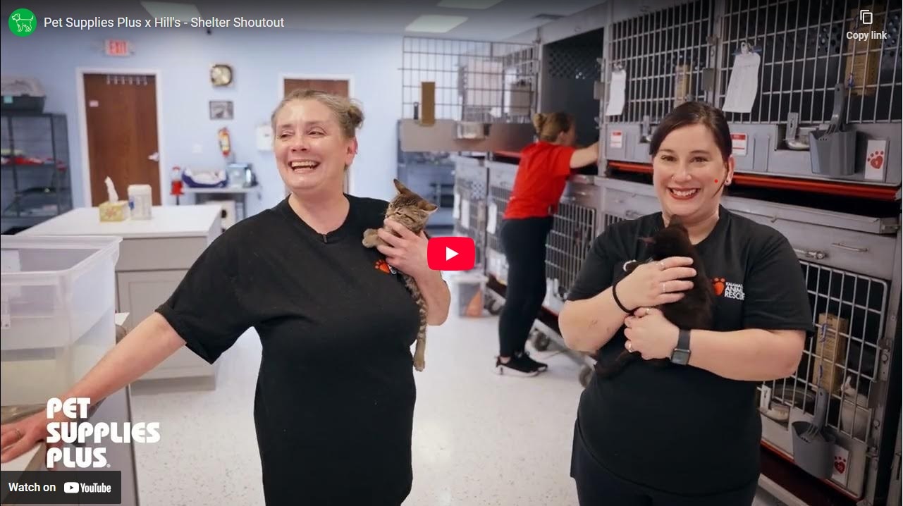 Watch the teaser and join us in showing up, giving back, and making a difference, together.