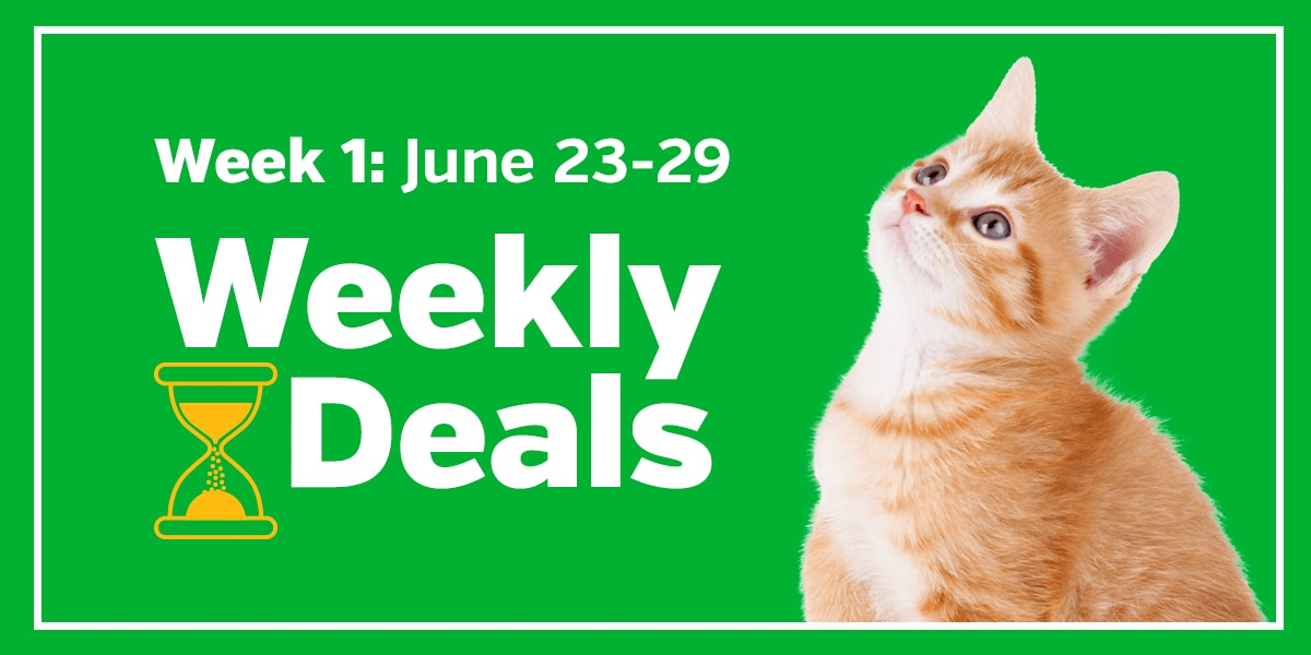 Week 1: June 23-29