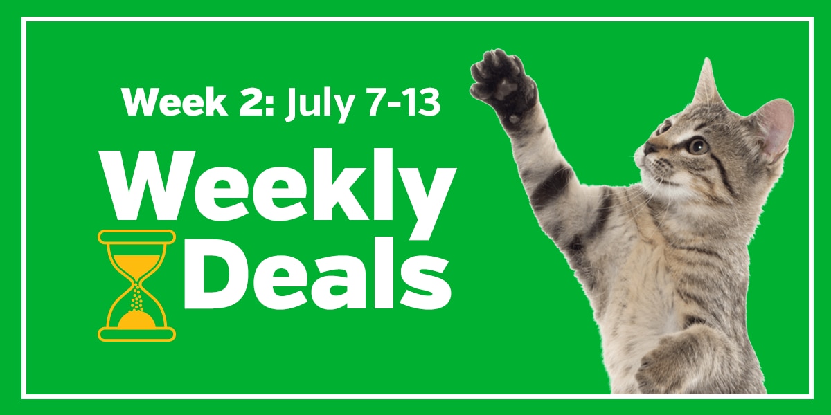 Week 2: July 7-13