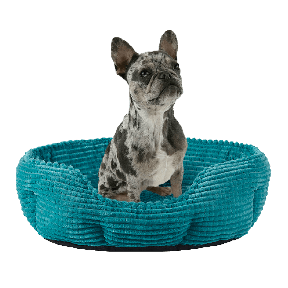 40% off Select Play On dog & cat beds