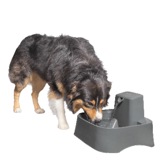 Save up to $22.50Select PetSafe fountains & feeders