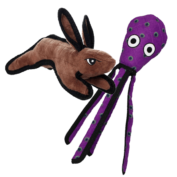 buy 1, get 1 50% off Tuffy Dog Toys. Equal or lesser value. Must buy 2.